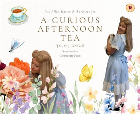 Alice&amp;#39;s Curious Afternoon Tea