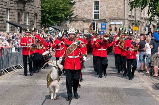 armed forces parade