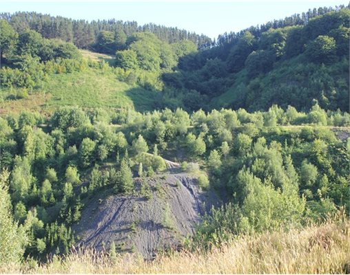 Blaensychan Nature Reserve new