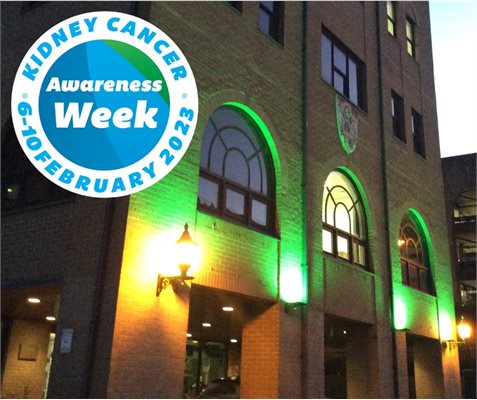 Kidney Cancer Awareness