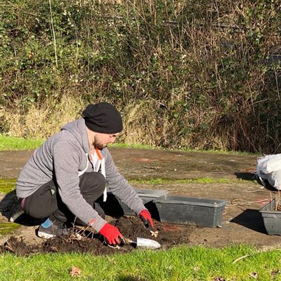 Tree planting pic