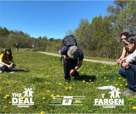 Become a Nature Steward