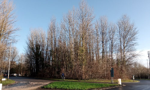 Junction of Greenforge Way, Springvale & Woodland Street (Near Springvale Ind Estate)