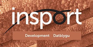 insport Bronze Development Logo