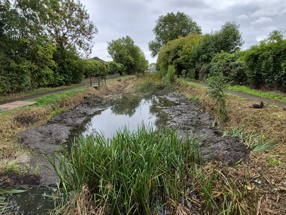 A stretch of canal in Henllys