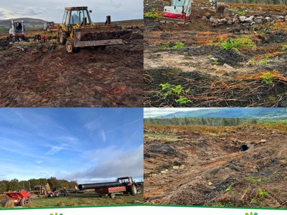 Work being carried out on the Blorenge after wildfires