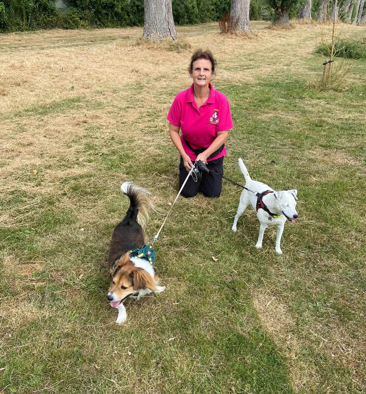 Jeanette Savil, owner of Welsh Walkies, with two dogs