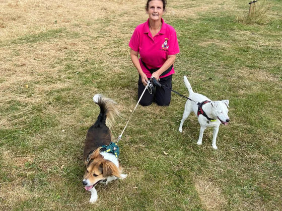 Jeanette Savil, owner of Welsh Walkies, with two dogs